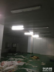 金山石化區食品廠專業凈化工程 彩鋼巖棉板隔斷、車間隔墻與工裝裝修一體化解決方案